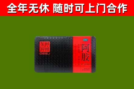 繁昌回收阿胶